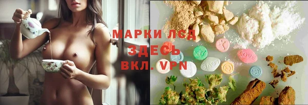 шишки Балахна