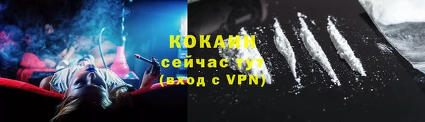 шишки Балахна