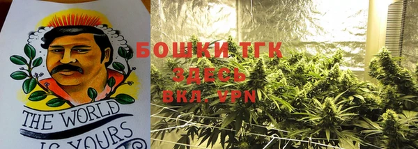 шишки Балабаново