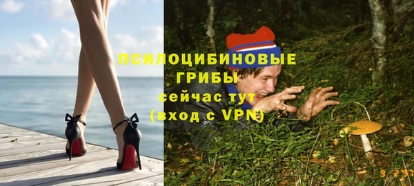 шишки Балабаново