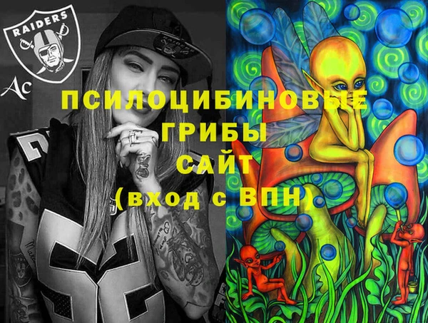 шишки Балабаново
