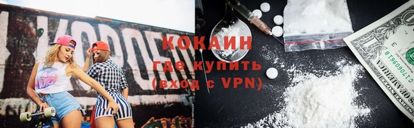 шишки Балахна